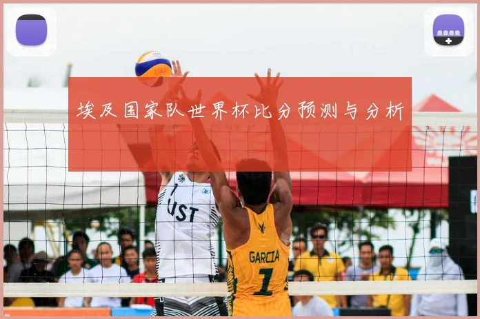 埃及国家队世界杯比分预测与分析