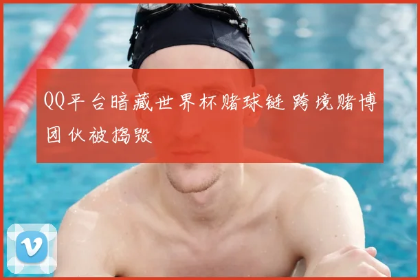 QQ平台暗藏世界杯赌球链 跨境赌博团伙被捣毁