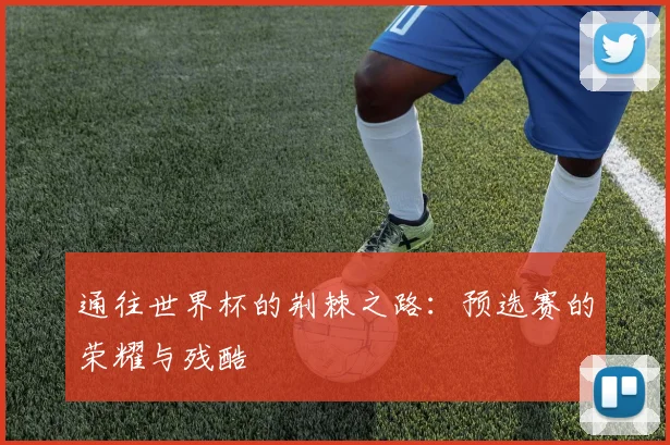 通往世界杯的荆棘之路：预选赛的荣耀与残酷