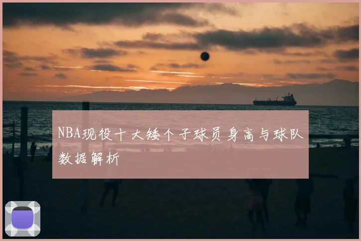 NBA现役十大矮个子球员身高与球队数据解析