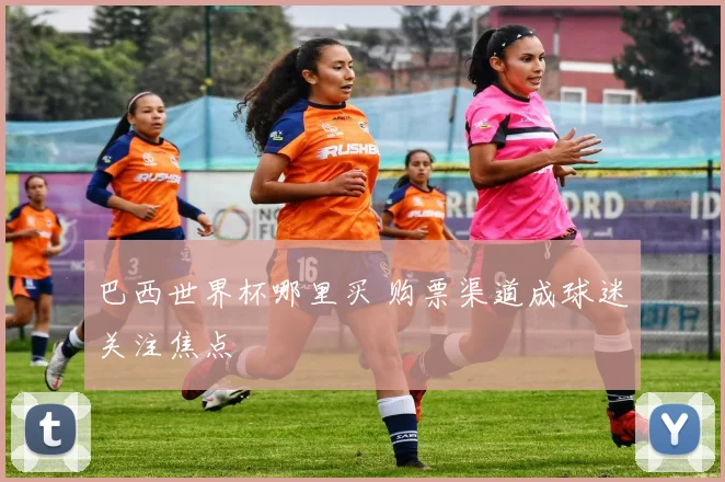 巴西世界杯哪里买 购票渠道成球迷关注焦点