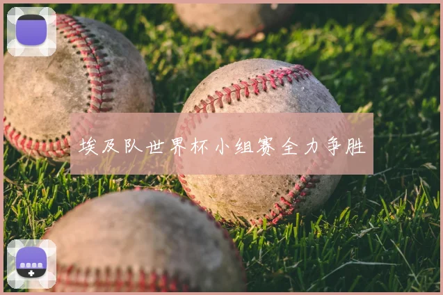 埃及队世界杯小组赛全力争胜