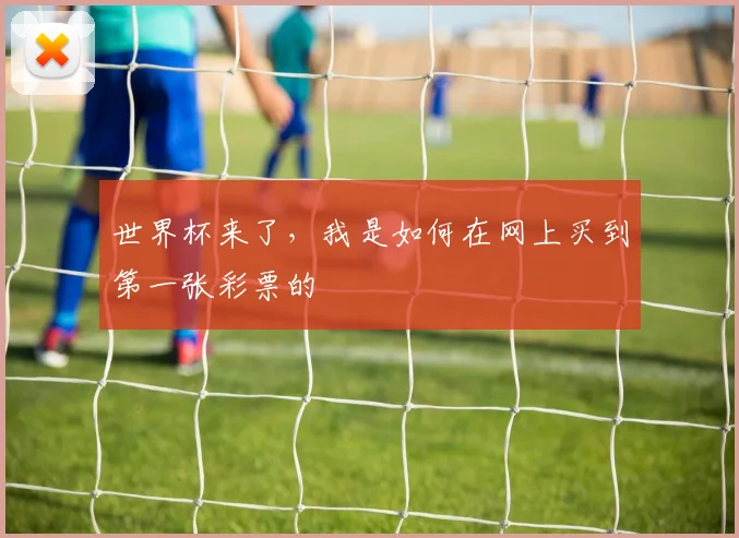 世界杯来了,我是如何在网上买到第一张彩票的