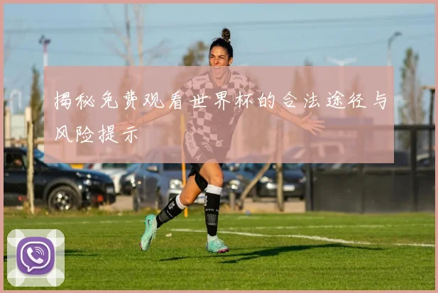 揭秘免费观看世界杯的合法途径与风险提示