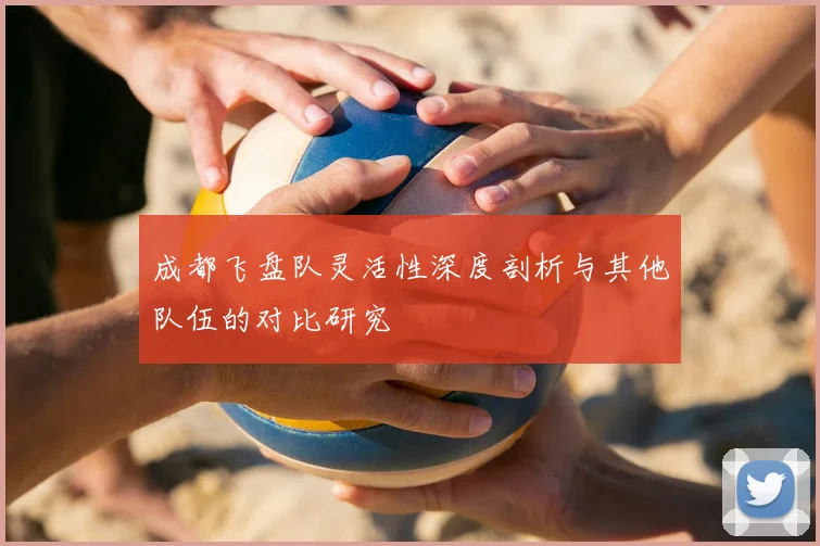 成都飞盘队灵活性深度剖析与其他队伍的对比研究
