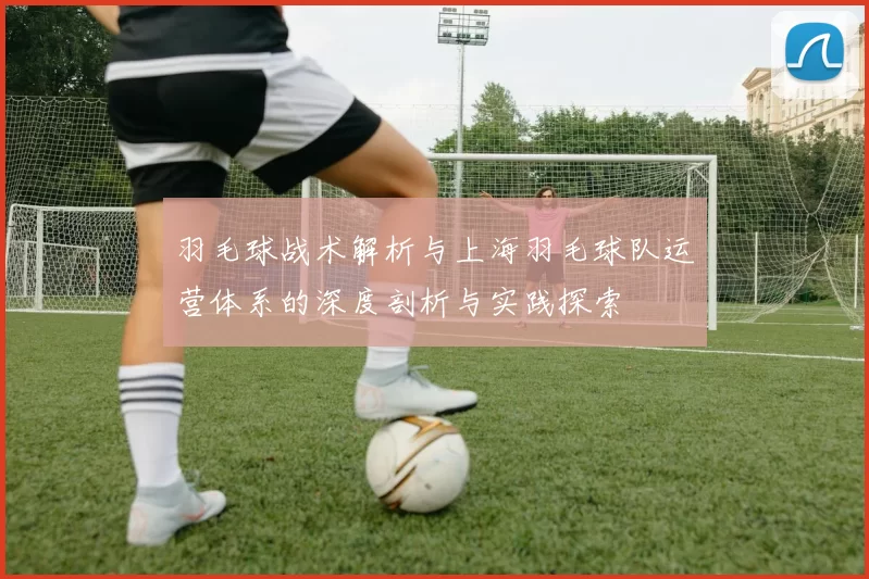 羽毛球战术解析与上海羽毛球队运营体系的深度剖析与实践探索