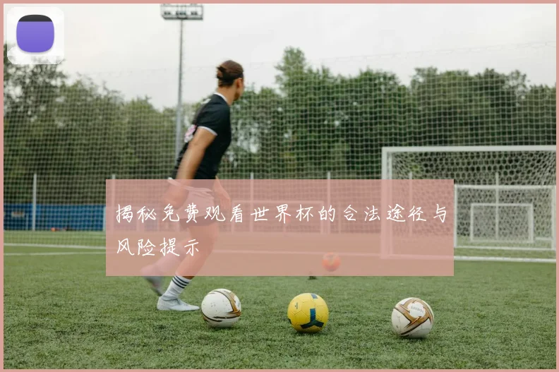 揭秘免费观看世界杯的合法途径与风险提示