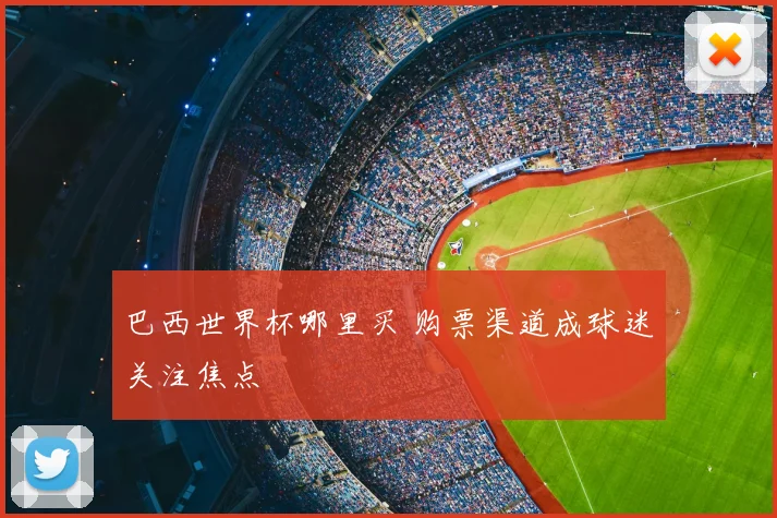 巴西世界杯哪里买 购票渠道成球迷关注焦点