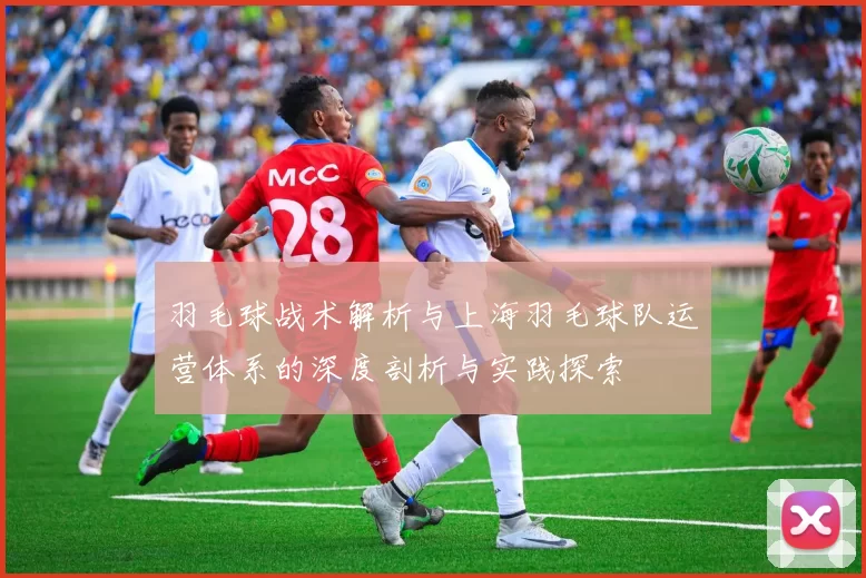 羽毛球战术解析与上海羽毛球队运营体系的深度剖析与实践探索