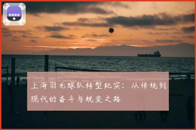 上海羽毛球队转型纪实：从传统到现代的奋斗与蜕变之路