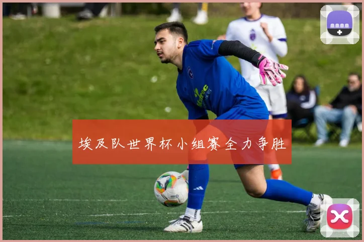 埃及队世界杯小组赛全力争胜