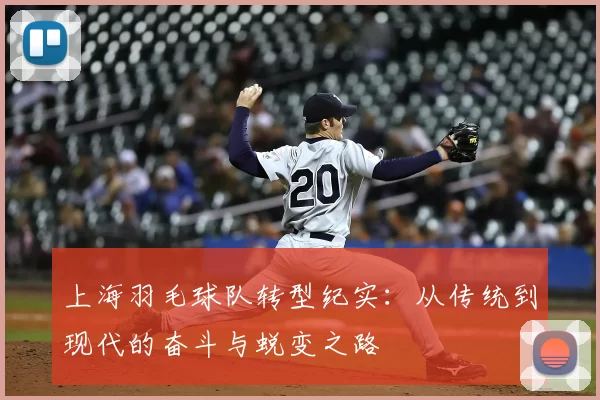 上海羽毛球队转型纪实：从传统到现代的奋斗与蜕变之路